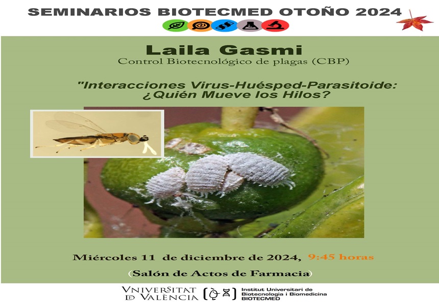 Image de la noticia